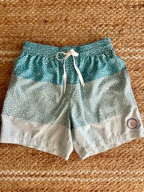 Chubbies Classic Full Elastic Waist Swim Trunks